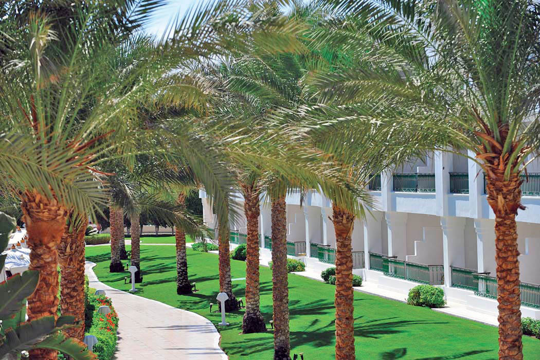 Hotel Baron Palms Resort - ogród