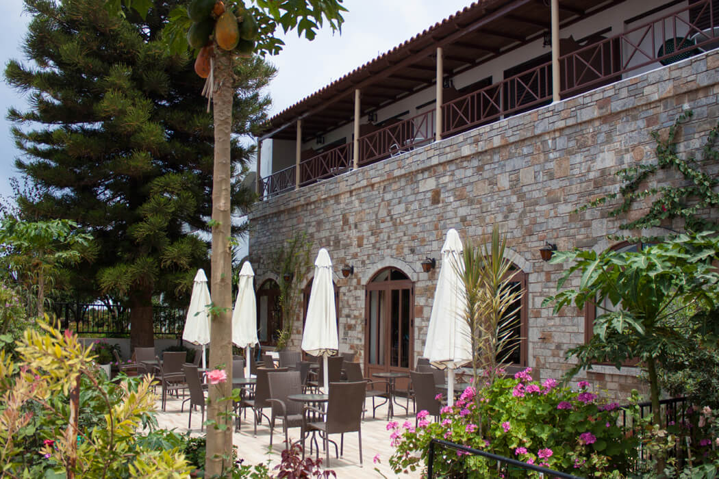 Hotel Malia Holidays - ogród