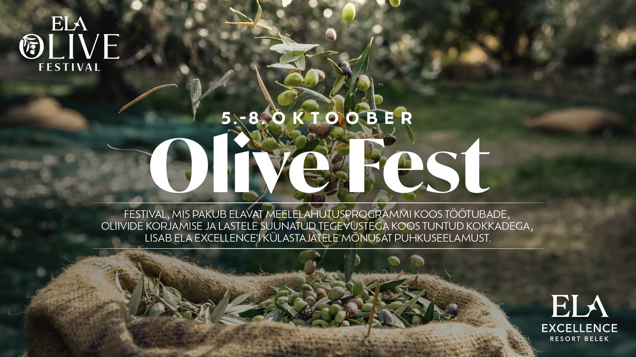 Olivefest